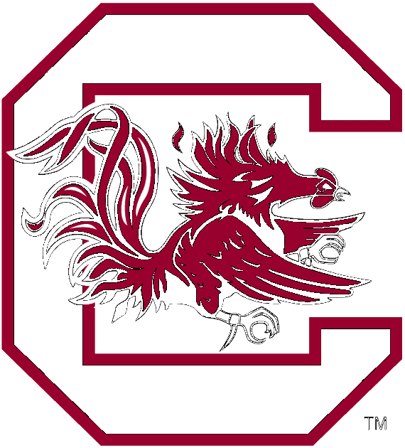 College Logo 45